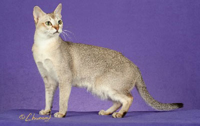Singapura